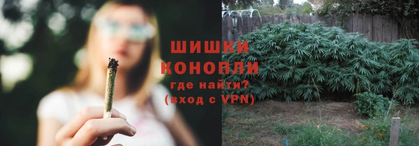 трава Елабуга