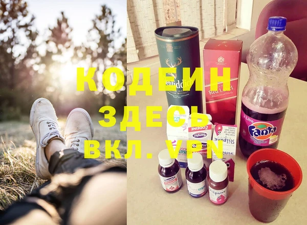 метадон Елизово