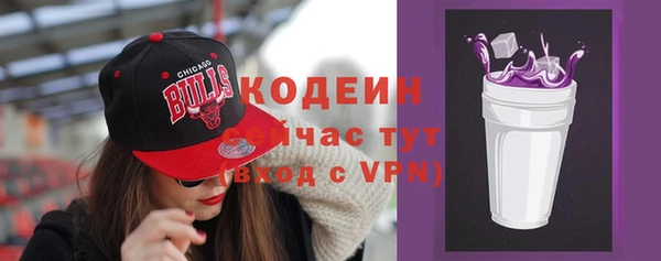 метадон Елизово