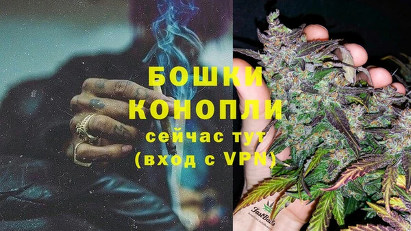 трава Елабуга