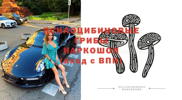 метадон Елизово