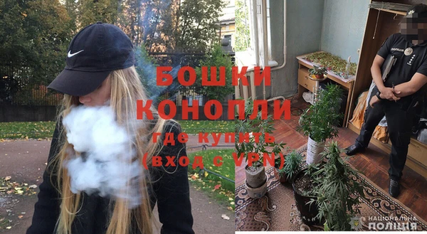 метадон Елизово