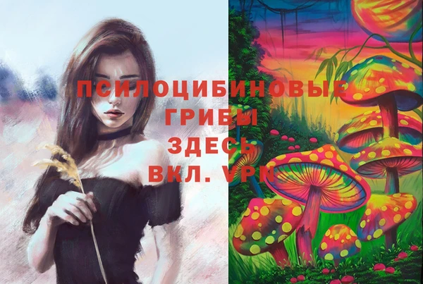 наркотики Ельня